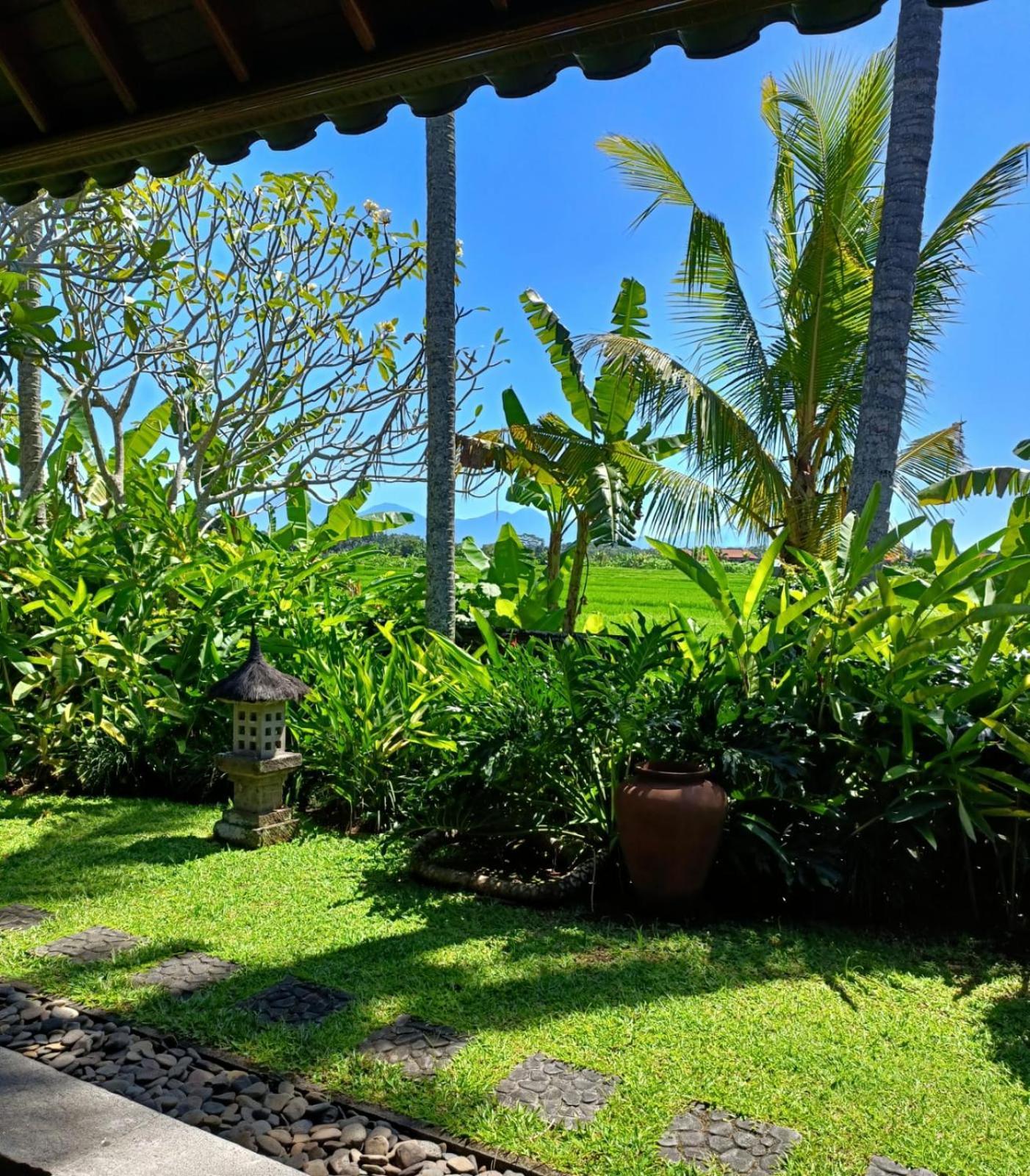 Runa House Of Design Ubud  Luaran gambar