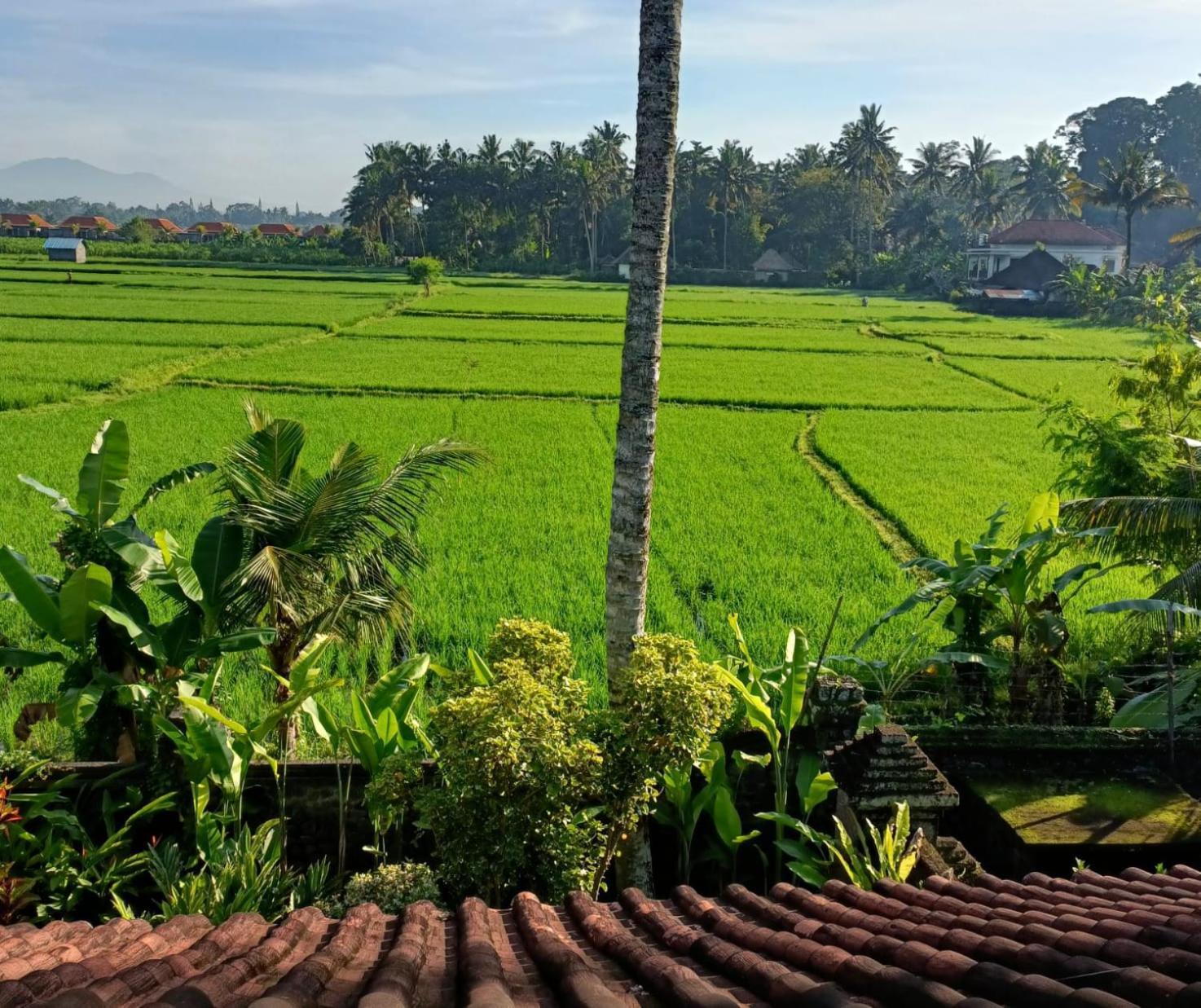 Runa House Of Design Ubud  Luaran gambar